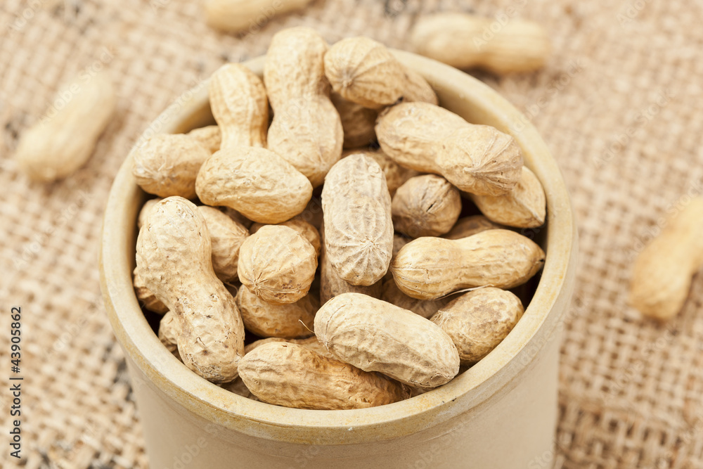 Fresh Dry Organic Peanuts Fresh Dry Organic Peanuts
