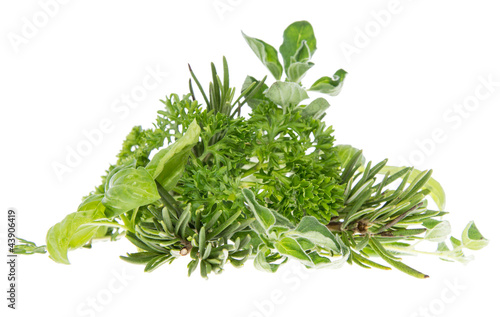 Heap of fresh Herbs isolated on white