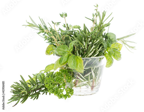 Glass with fresh Herbs
