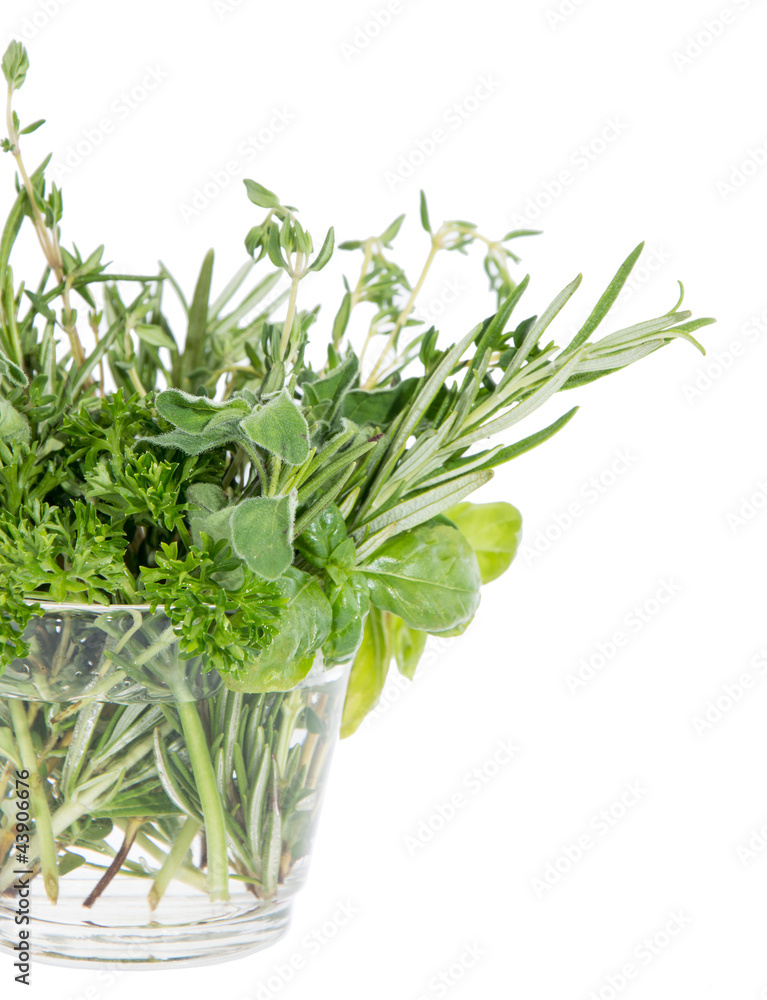 Small glass with different Herbs Small glass with different Herbs