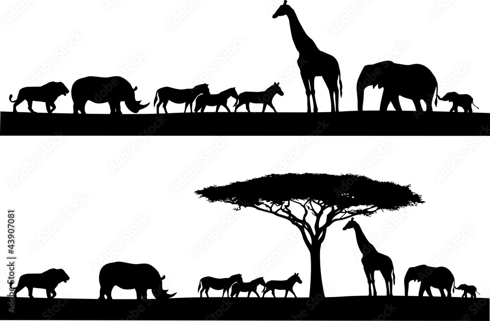Obraz premium Safari animal silhouette