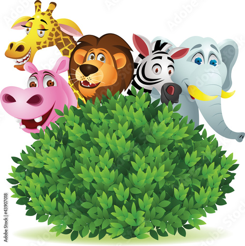 Funny animal cartoon