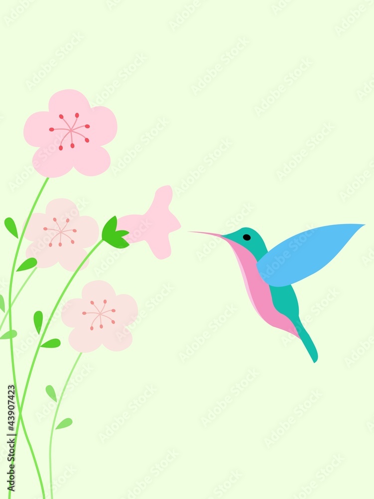 Hummingbird background