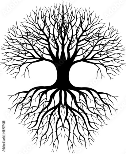 Tree silhouette