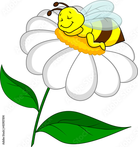 Bee sleeping on flower