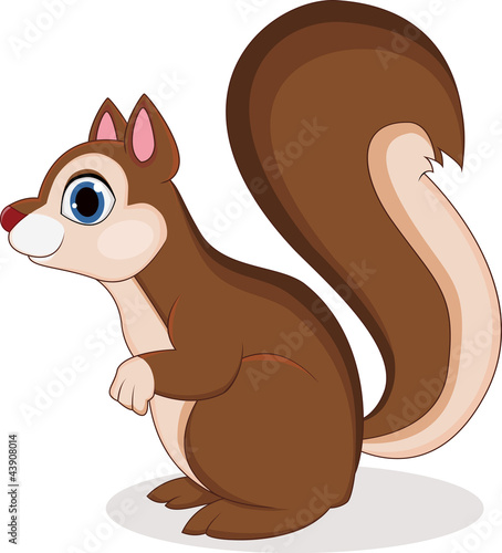 Squirrel cartoon