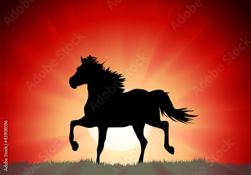 Silhouette of a running horse on a sunset