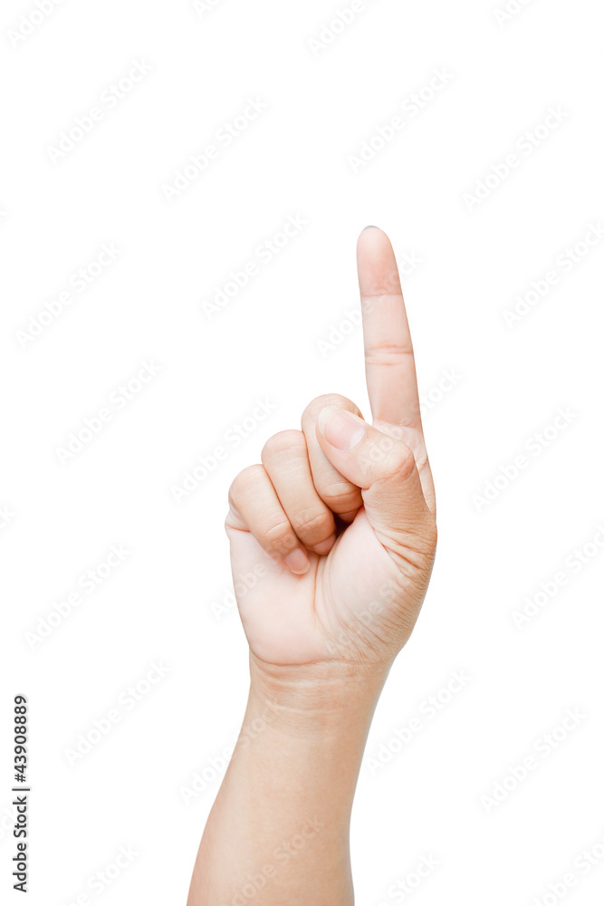 Hands of women isolated on white background Hands of women isolated on white background