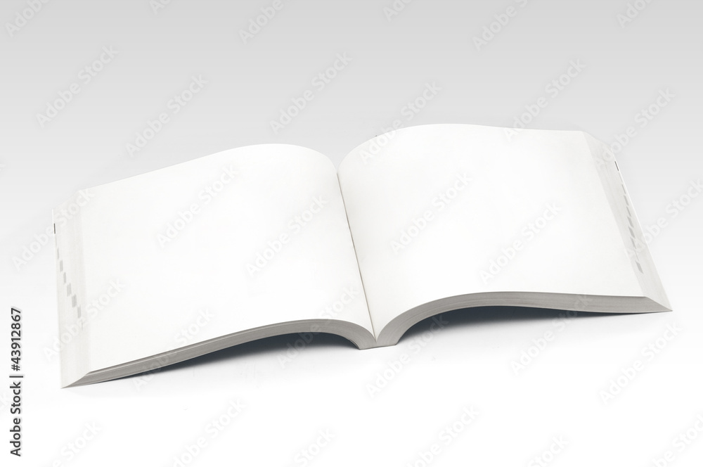 Blank Open Book Blank Open Book