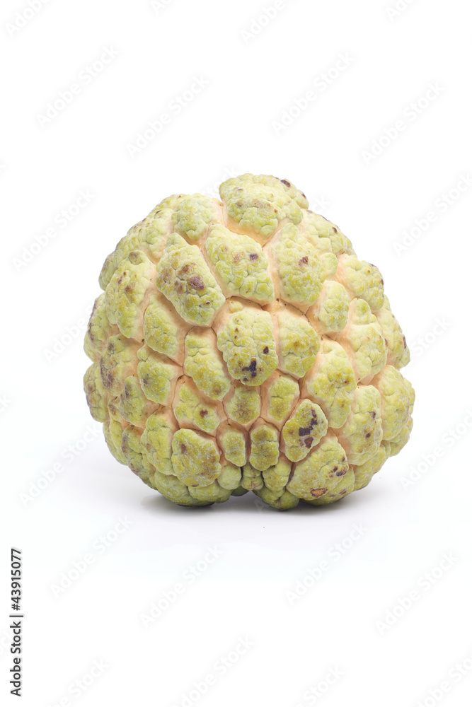custard apple isolated on a white background custard apple isolated on a white background