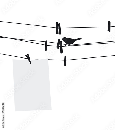 Blank paper sheet on clothesline with clothespins and bird