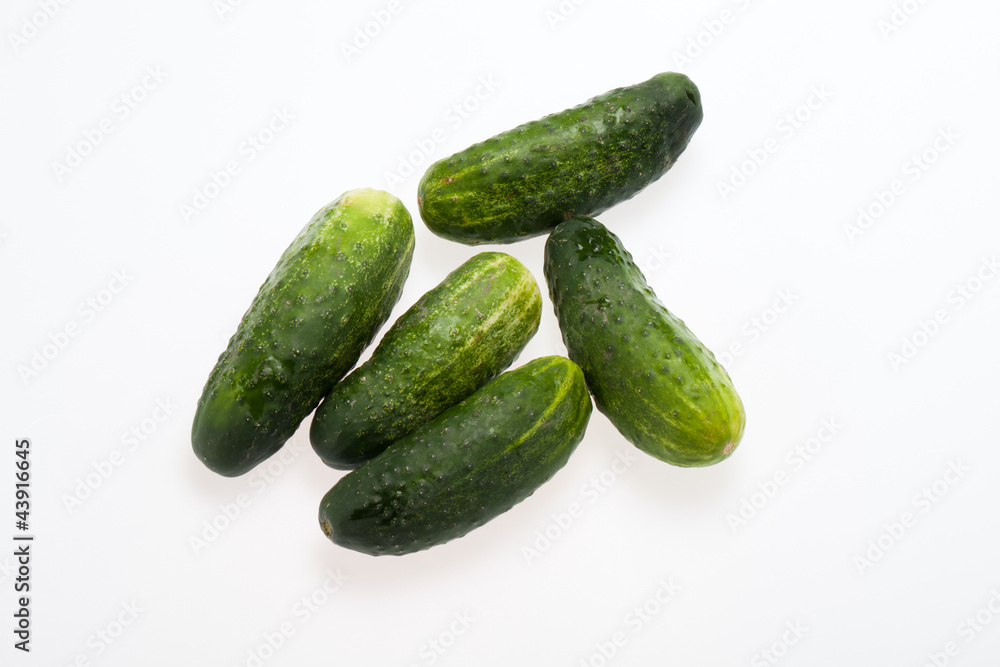 A fresh green cucumber isolated on a white background A fresh green cucumber isolated on a white background