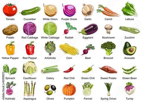 Collection of 35 Vegetables icons