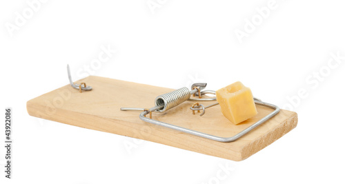 mousetrap with cheese isolated