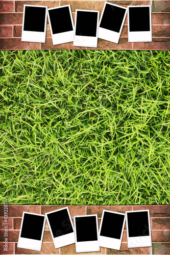 Photo frame with on grunge brick wall and green grass background