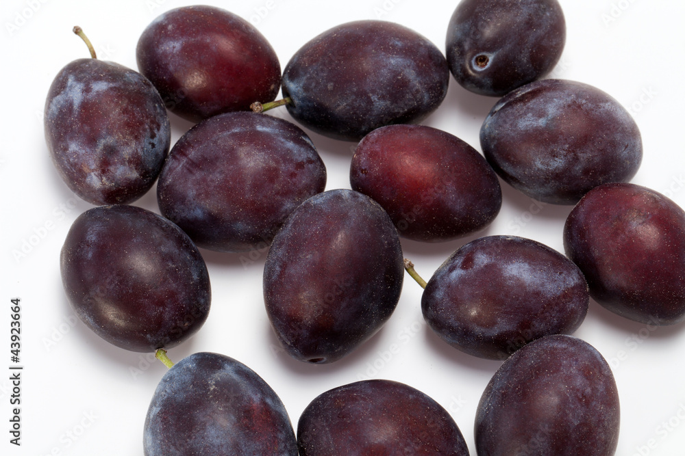 Obraz premium plum fruit isolated on white background