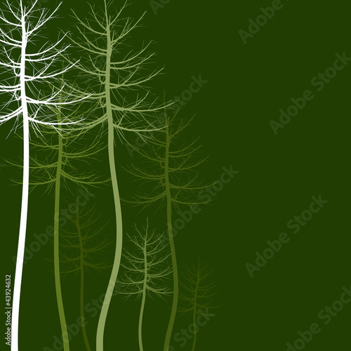 Abstract tree5