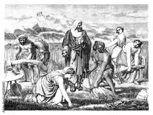 Canvas Print Semitic biblical scene : Harvest - Moisson - Ernte