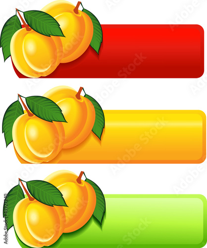 apricot banner
