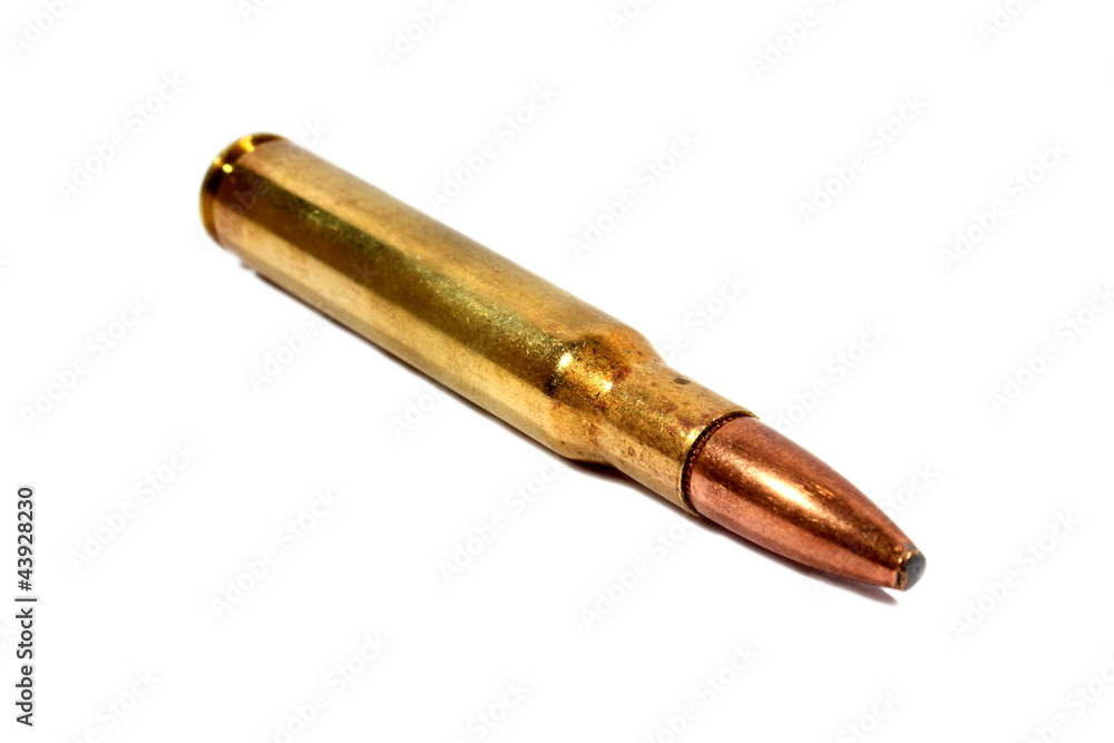 .306 Caliber Bullet .306 Caliber Bullet
