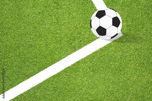 Football soccer on grass background © jumpem