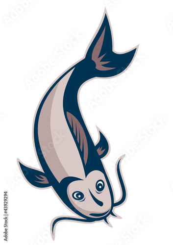 Catfish Fish Swimming Down