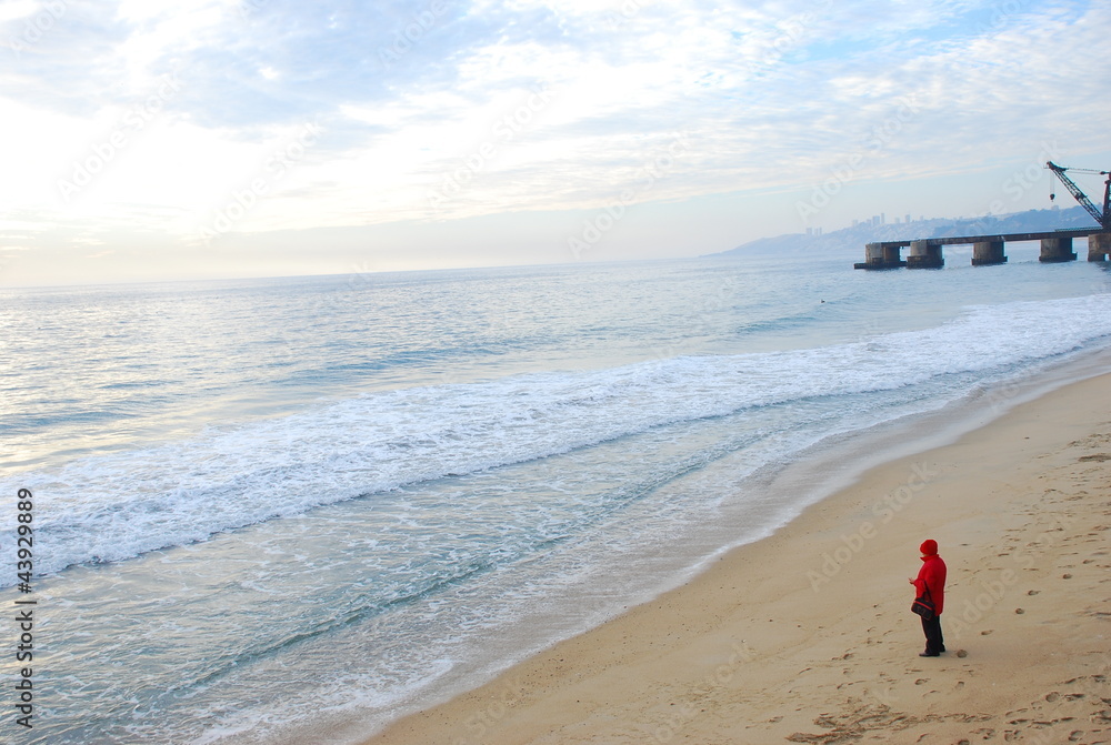 Obraz premium Viña del Mar Beach