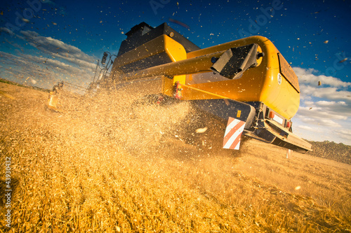 Obraz na plátně moisson ble jaune