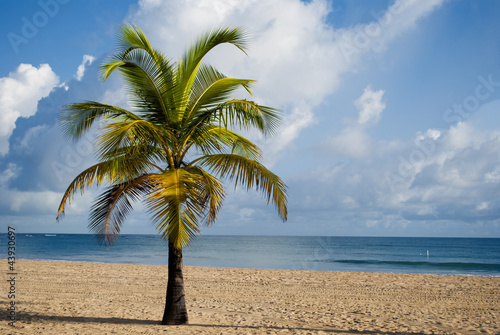Beach resort in San Juan (Puerto Rico) © makyland