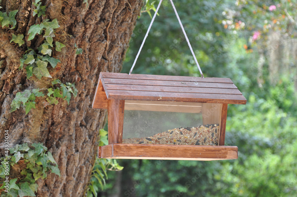 Naklejka premium Bird Feeder