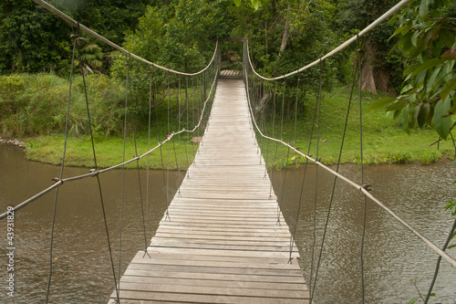 Wood hanging bridge across river in forest. © topten22photo