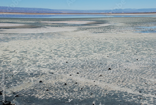 Atacama Salt Flats