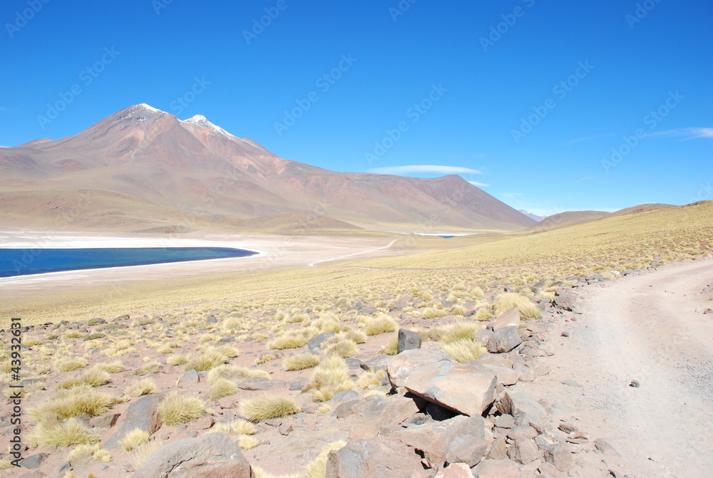 Fototapeta premium Laguanas, Atacama Desert, Chile
