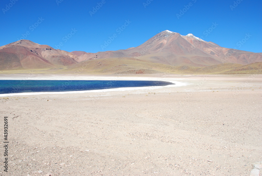 Laguanas, Atacama Desert, Chile