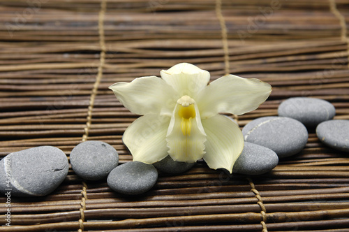 White orchid with stones on bamboo stick straw mat