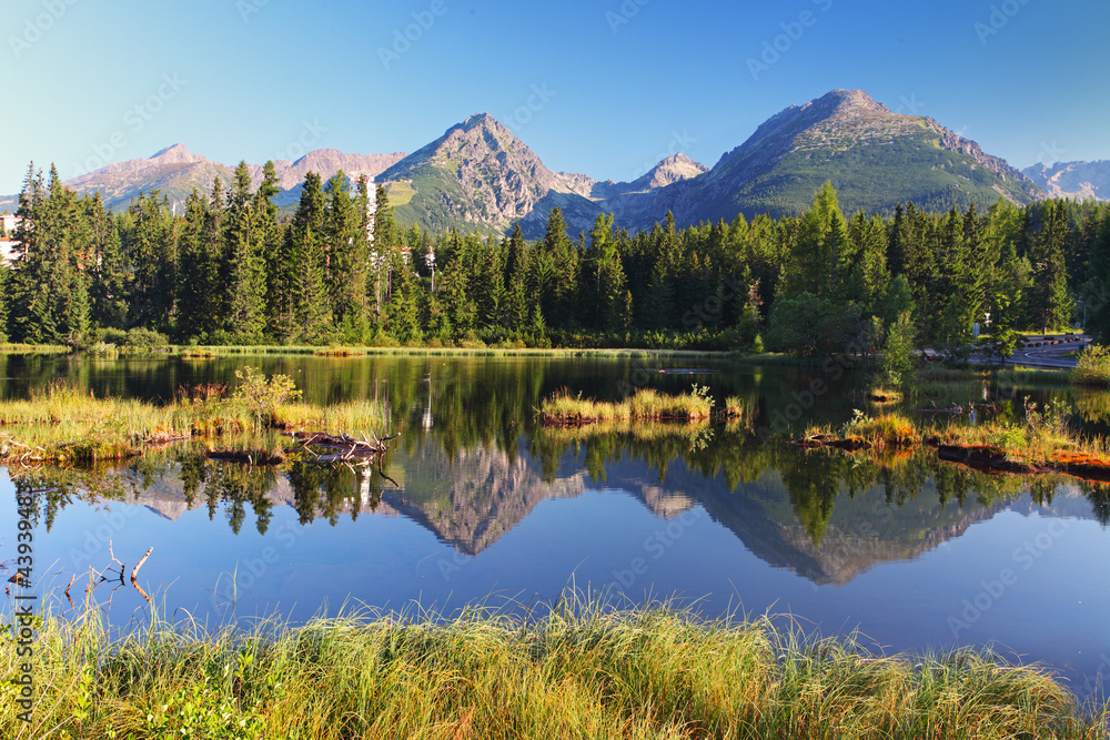 Naklejka premium Mountain Lake in Slovakia Tatra - Strbske Pleso