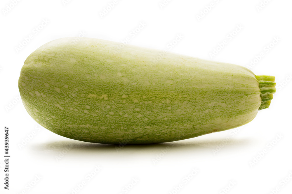 Green marrow on white background Green marrow on white background