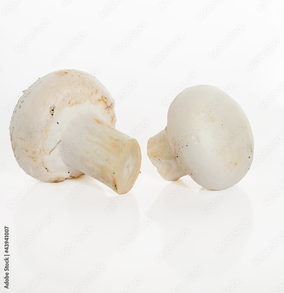mushrooms mushrooms