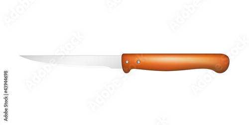 Kitchen knife with wooden handle