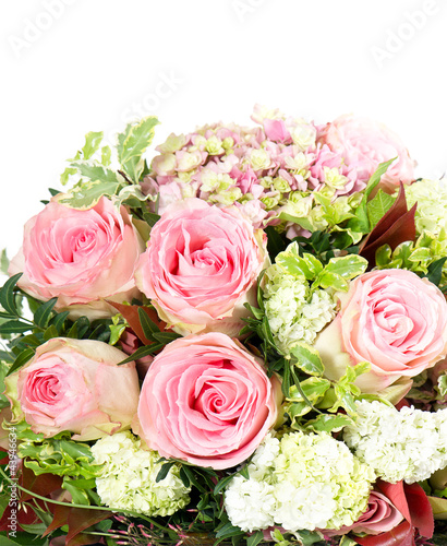 pink roses over white background
