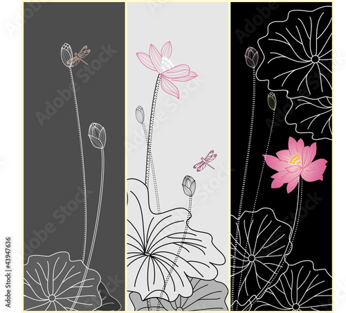 lotus flower