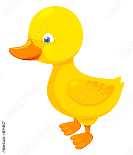 Cute duck vector