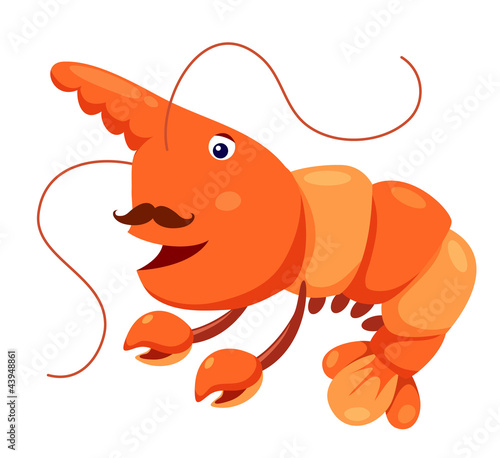 Cute shrimp vector