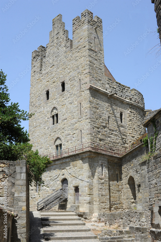 La citadella di Carcassonne patrimonio mondiale dell'UNESCO La citadella di Carcassonne patrimonio mondiale dell'UNESCO