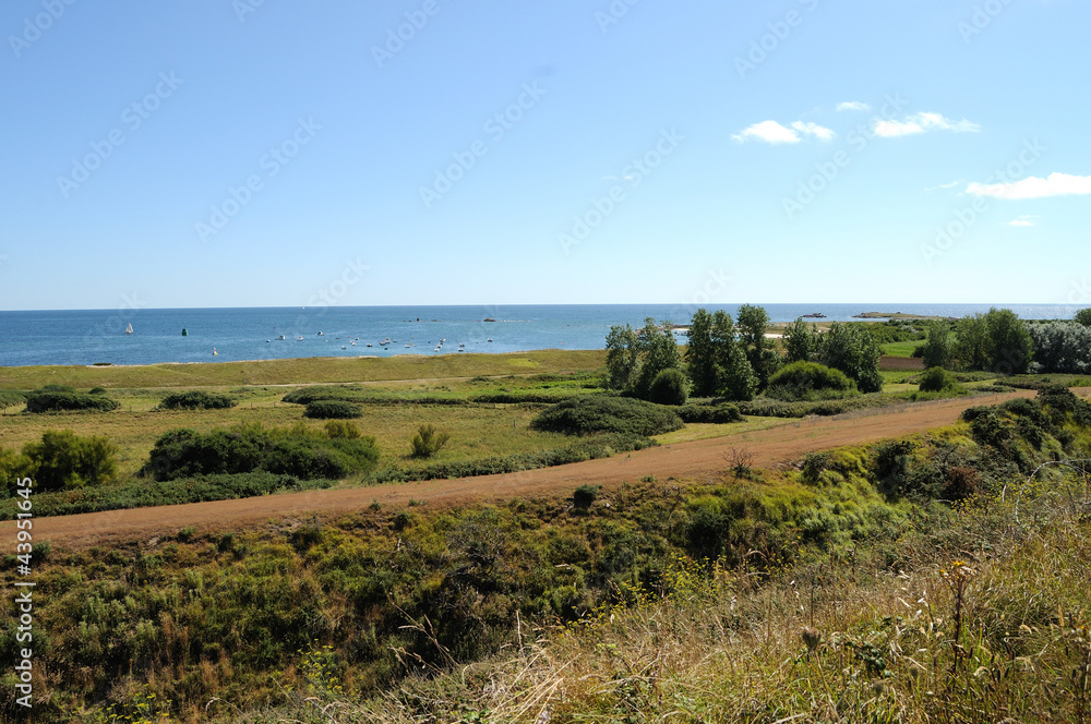 Fototapeta premium hoedic