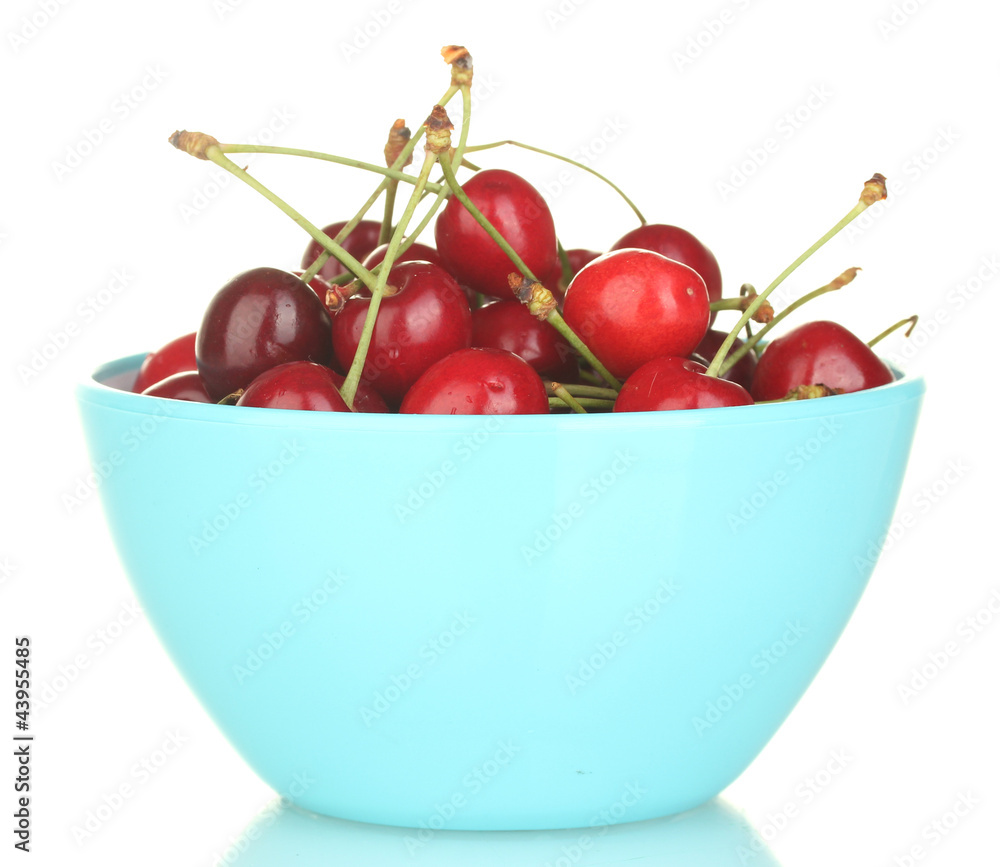 cherry in a blue bowl isolated on white cherry in a blue bowl isolated on white