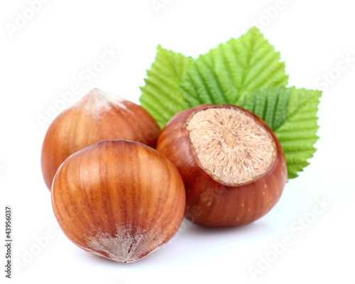 Dried hazelnuts with leaf