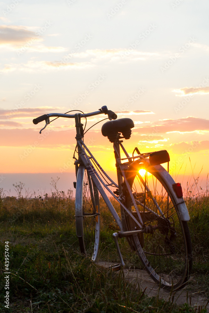 Naklejka premium Bicycle in sunlight