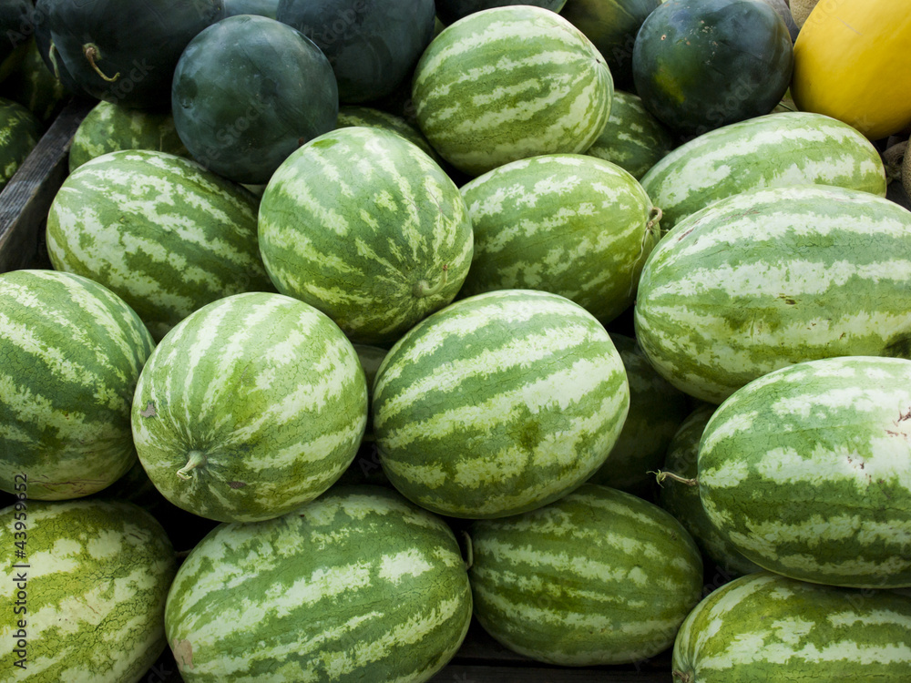 Watermelon Watermelon