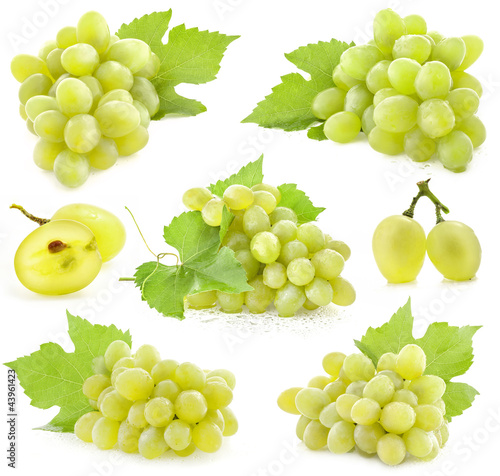 Collection of grapes with leaves, Isolated on white background photo